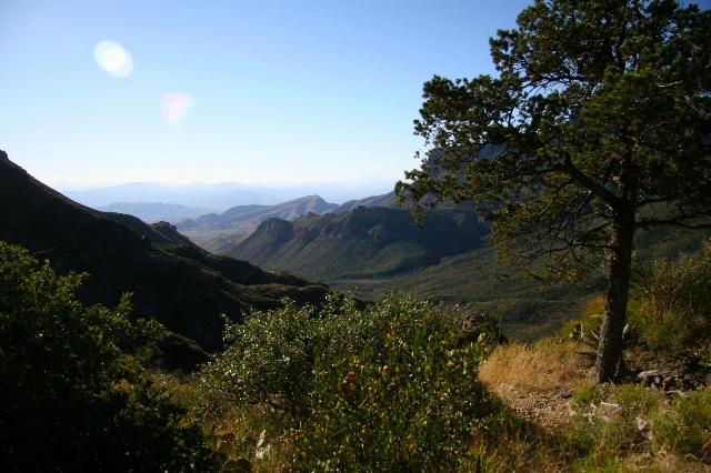 Juniper Canyon