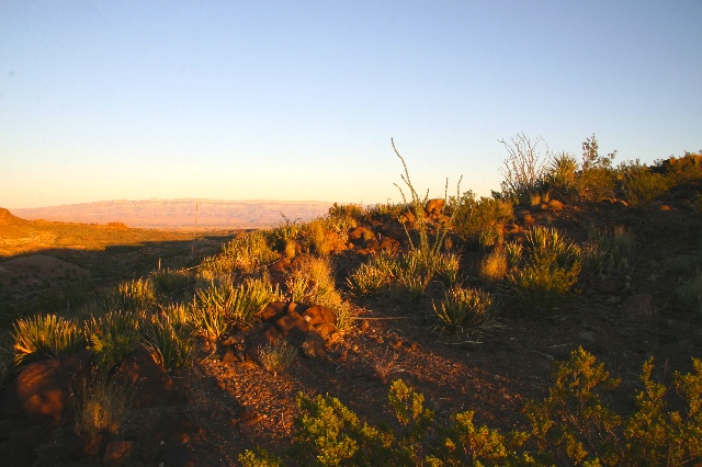 Chihuahuan Desert