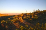 Chihuahuan Desert