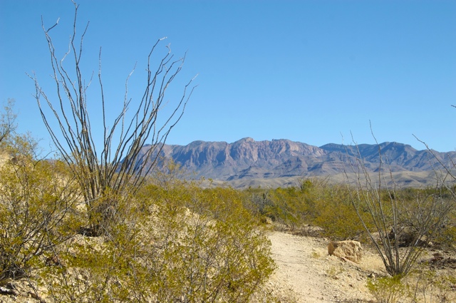 BB08: Chisos
