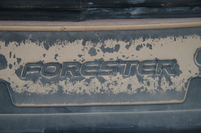 BB08: Dust