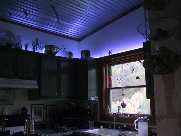 neonKitchen