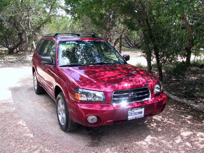 forester1