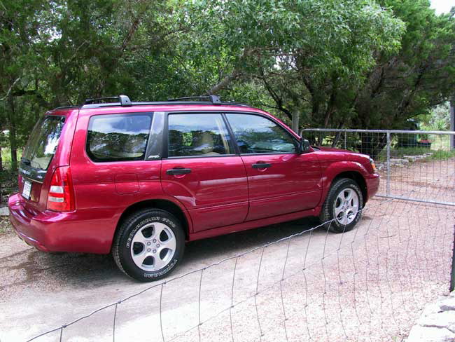 forester2