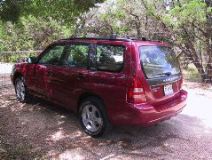 forester3