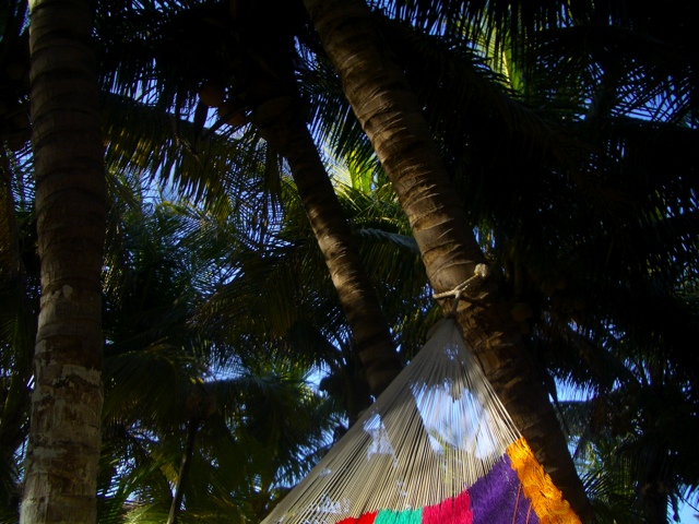 Hammock View