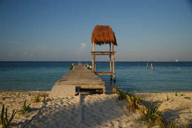 Dock, Thatch