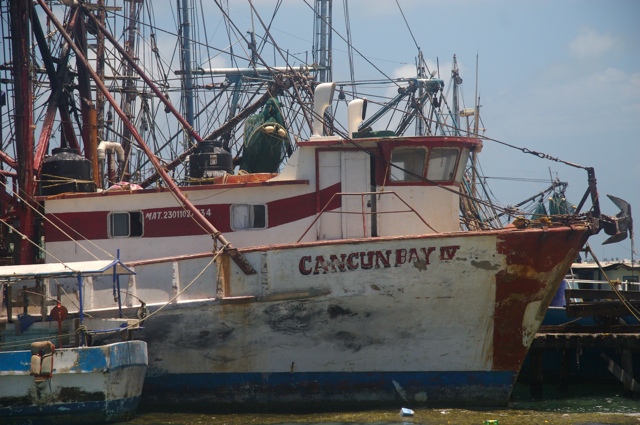 Cancun Bay IV