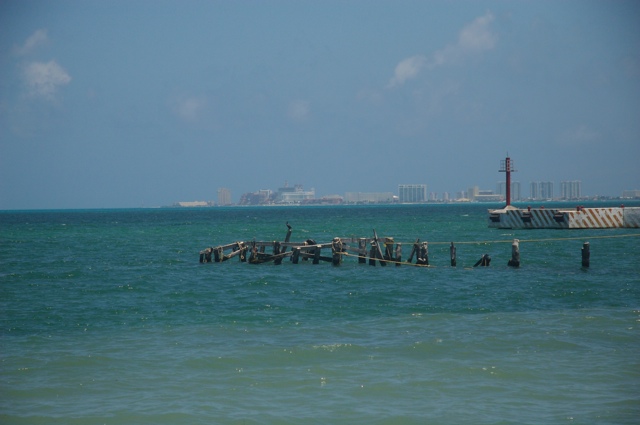 Pelican on Piers