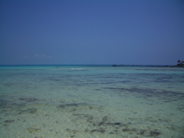 Snorkelers