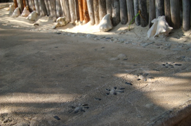Conch Walkway
