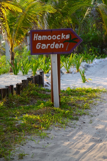 Hamoocks Garden