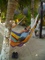 Hammock Time