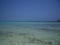 Snorkelers