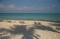 Beach Loungers