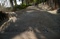 Walkway
