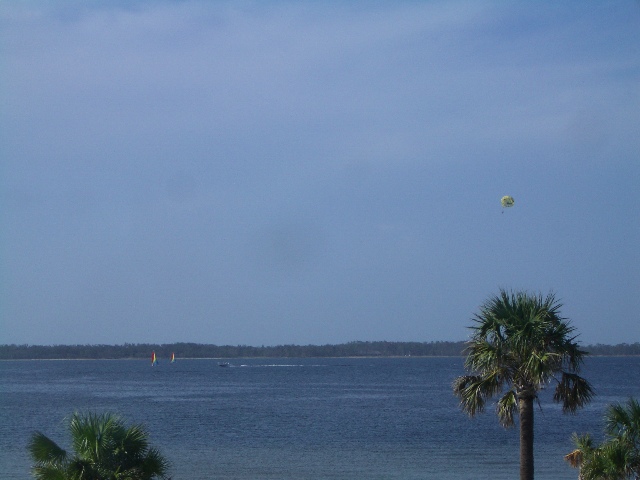 Windsurfers and Parasailor