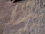 Mysterious Tracks