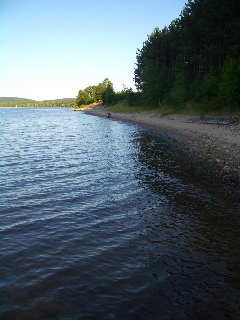 Beachcombing