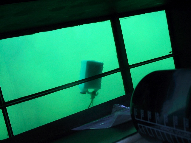 Buoy