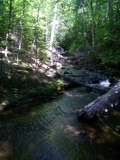 Section Creek