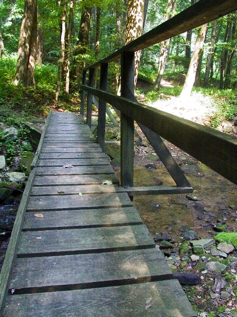 Crossing the Creek