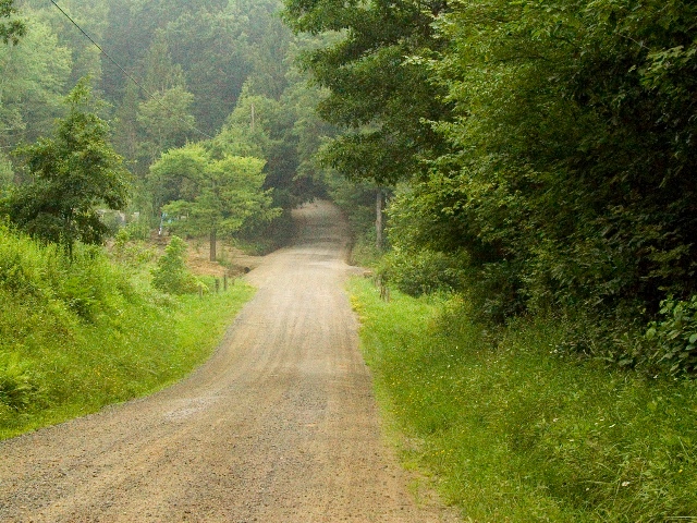 Dog Hollow Road