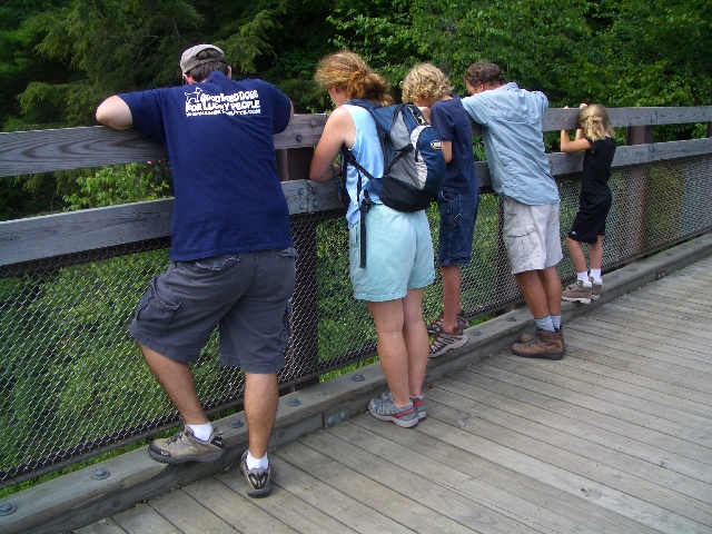Looking at the River