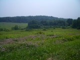 Rolling Hills