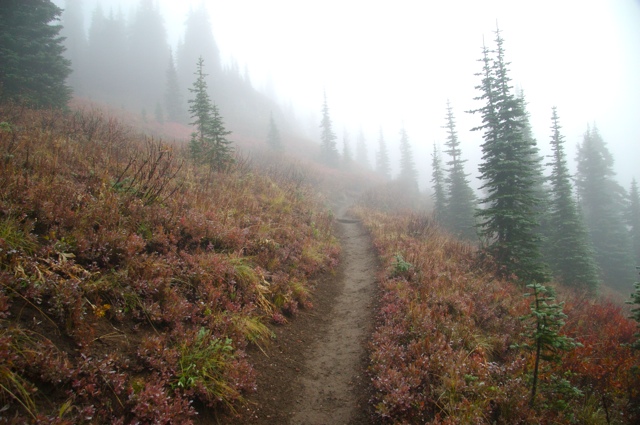 SEA2008: Naches Peak Trail