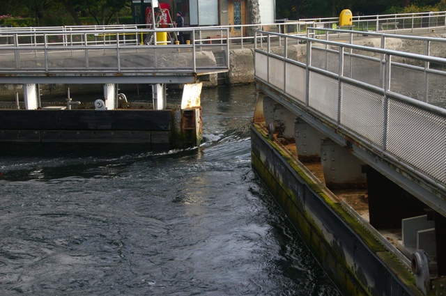 SEA2008: Open Gates
