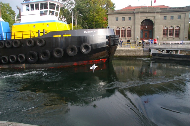 SEA2008: Entering the Sound