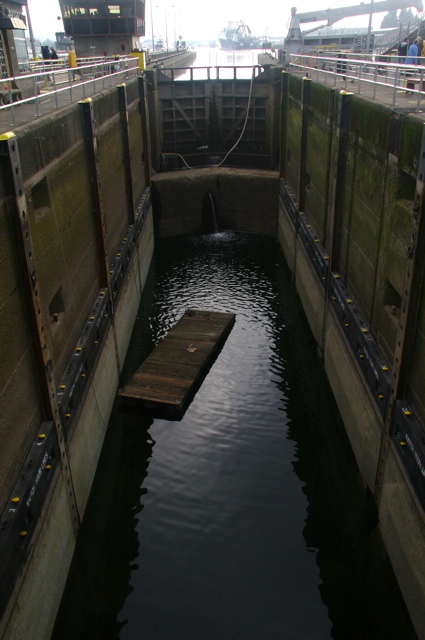 SEA2008: Dock