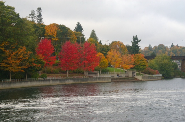 SEA2008: Fall Color