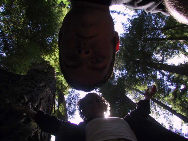 We can be tall, too. Avenue of the Giants.