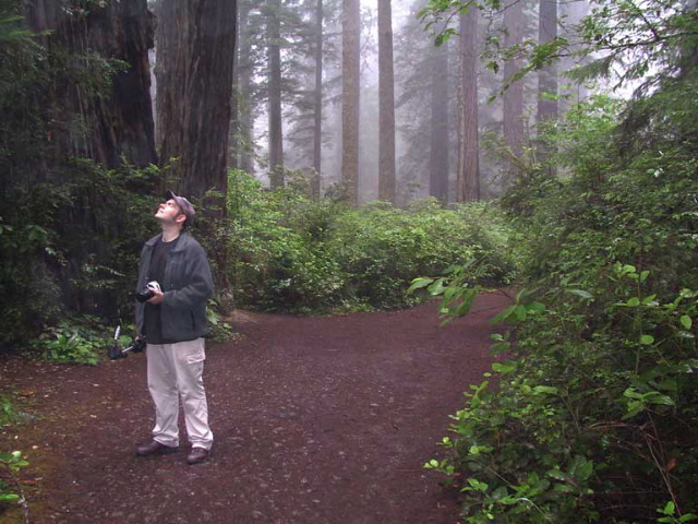 The Lady Bird Johnson Grove Trail.