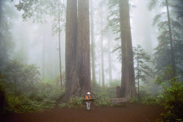 The Lady Bird Johnson Grove Trail.