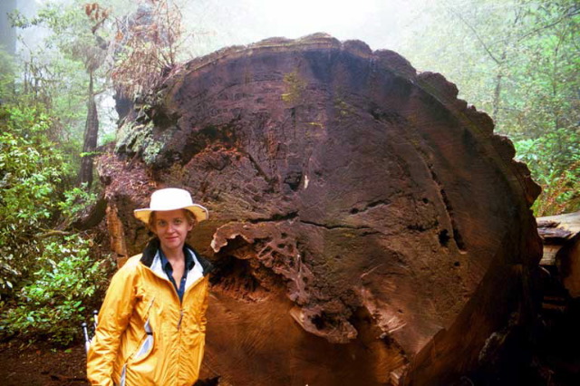 The Lady Bird Johnson Grove Trail.