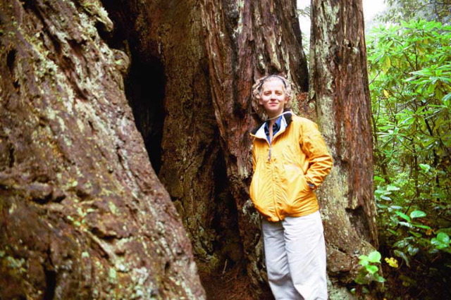 The Lady Bird Johnson Grove Trail.