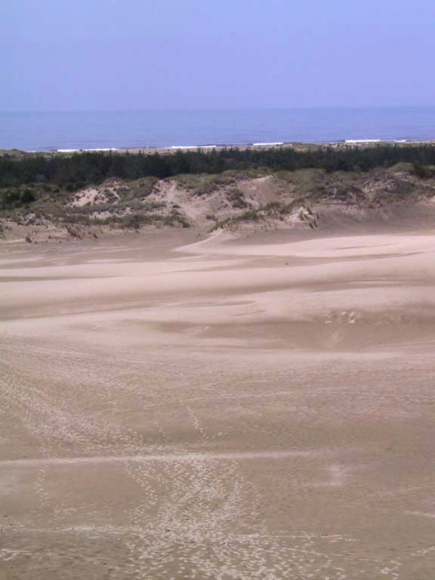 The sand dunes.