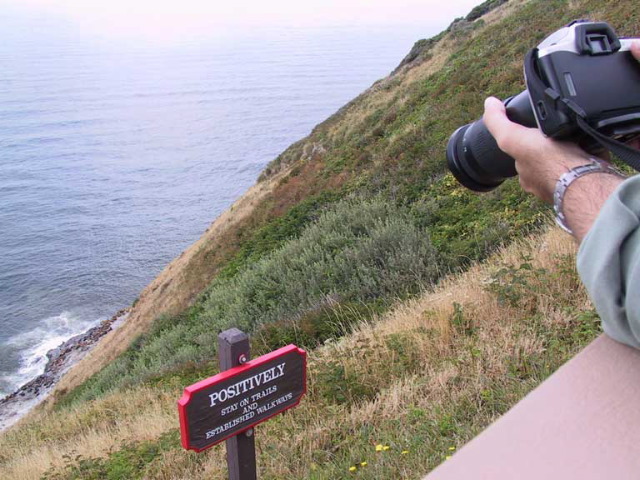 Rob and the camera and sea lions. 