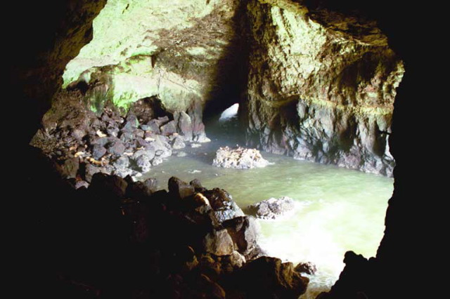 The largest sea lion cave in the world.