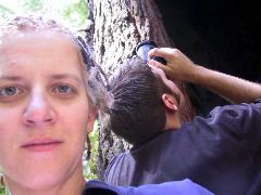 Self-portrait, with man taking photo. Avenue of the Giants.