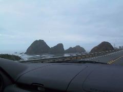 Sea stacks in Northern California.