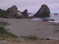 Harris Beach sea stacks.